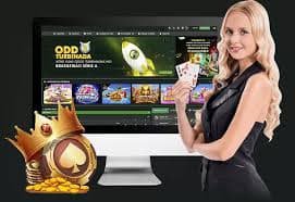 Dasbor loyalitas dan manajemen tier di bwin365bet